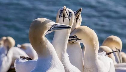 昆明最新公积金提取中介联系微信方法分析(最方便真实的昆明提取公积金的中介是如何操作的方法)