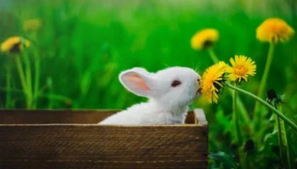 昆明最新公积金卡提取现金方法app方法分析(最方便真实的昆明公积金卡怎样从手机里取出来?方法)